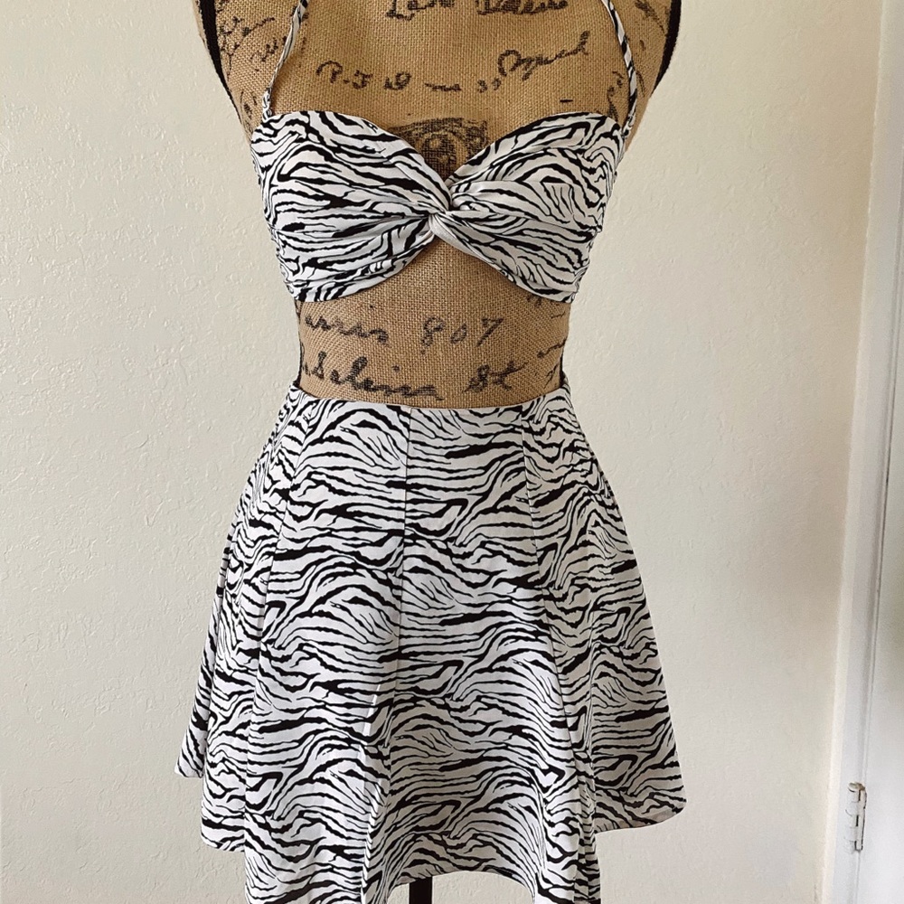 Zebra set